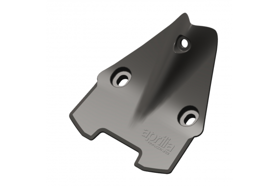 Plate Holder Hole Cover - RSV4 | APRILIA