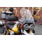 Bulle Sport Fumée - V85 TT | MOTO GUZZI
