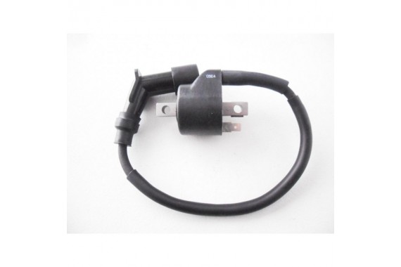 TGB 550 Bobine de carburateur